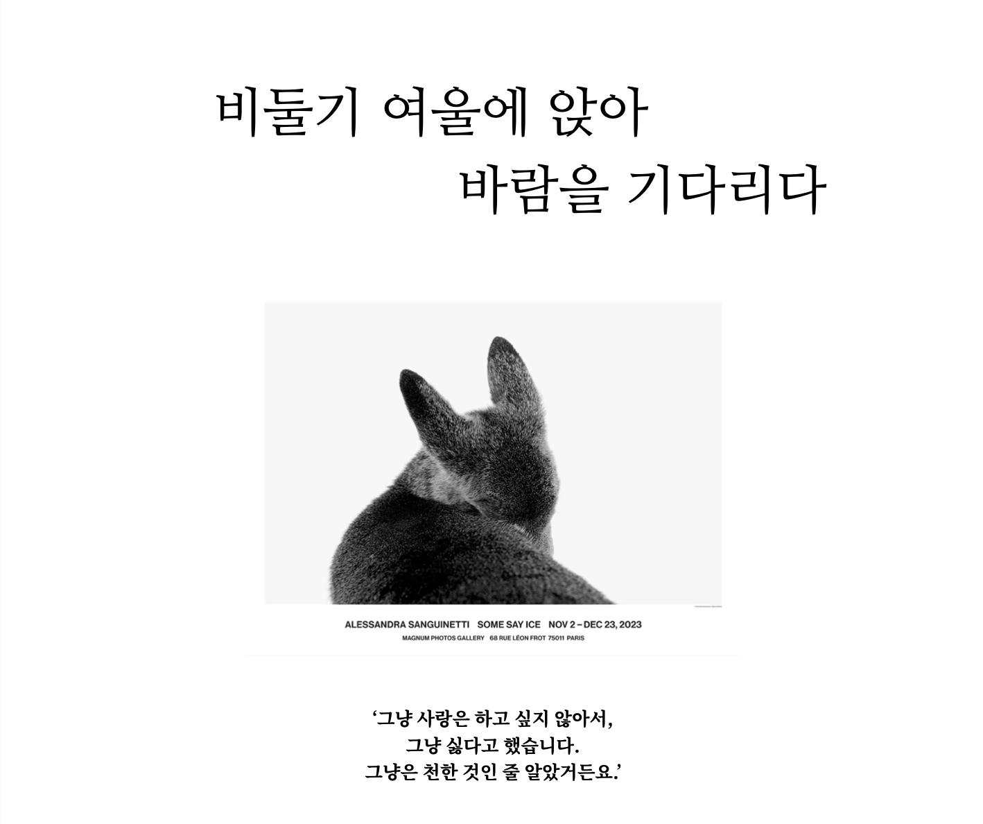 스크린샷 2024-05-27 오후 9.19.10.png.jpg