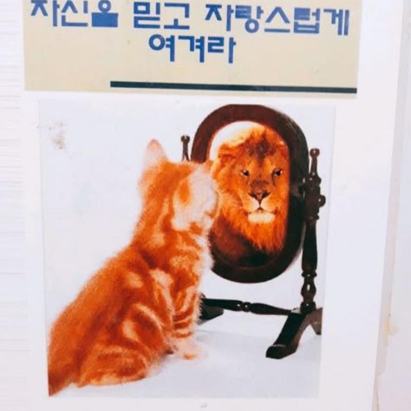 메머드웍스