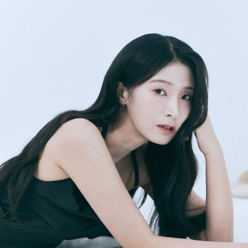 설채은배우